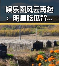 娱乐圈风云再起：明星吃瓜背后的深层次解读与影响
